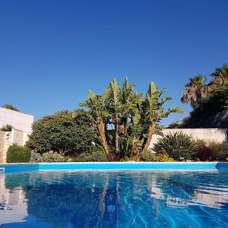 Villa Karmarea Mola di Bari Exteriör bild